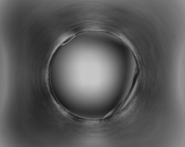 X0000088230909200705221822
