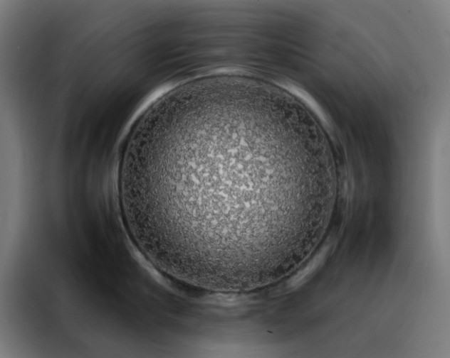 X0000088230910200705221822