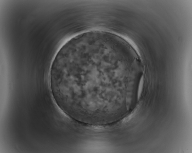 X0000088230911200705221822