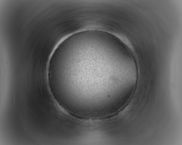 X0000088230912200705221822