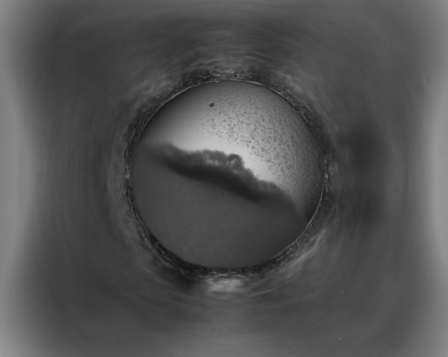 X0000088230913200705221821