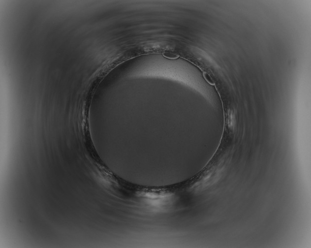 X0000088230915200705221821