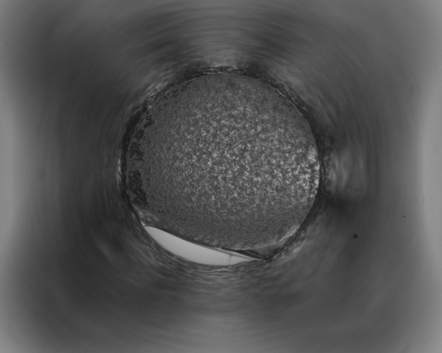 X0000088230916200705221821