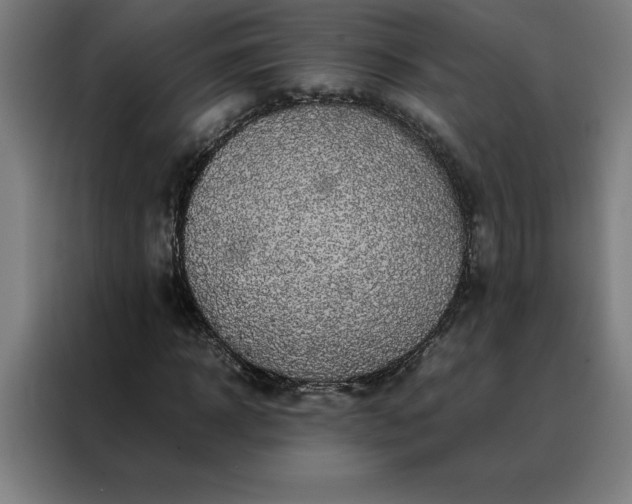X0000088230918200705221821