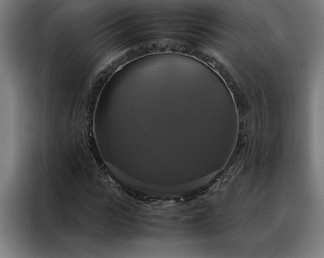 X0000088230919200705221821