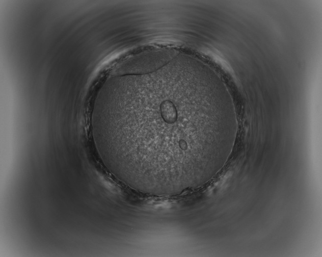 X0000088230920200705221821