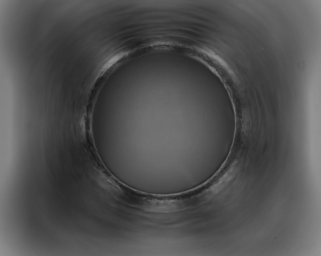 X0000088230921200705221821