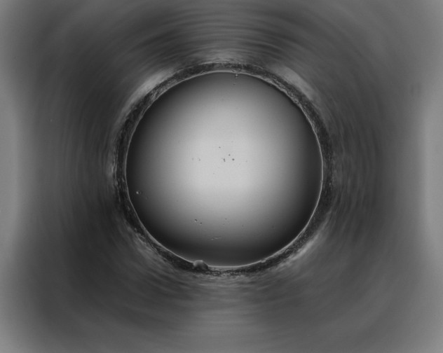 X0000088230922200705221821