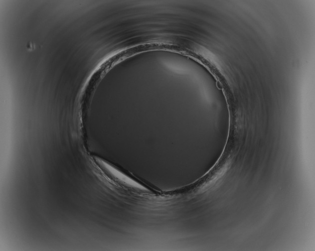 X0000088230923200705221821