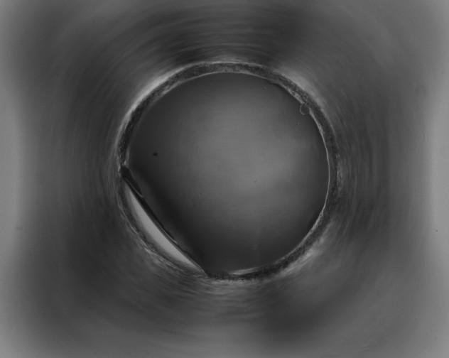 X0000088230925200705221821