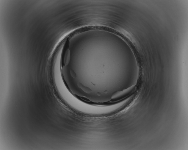 X0000088230926200705221821