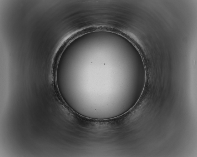 X0000088230927200705221821