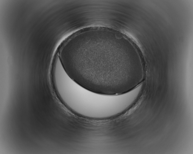 X0000088230928200705221821