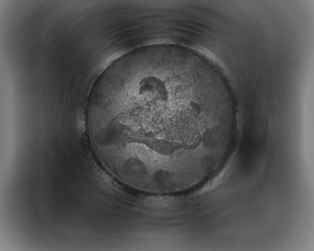 X0000088230929200705221821