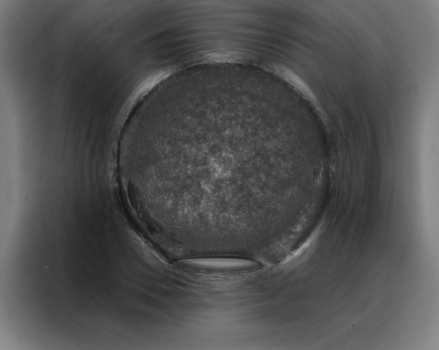 X0000088230930200705221821