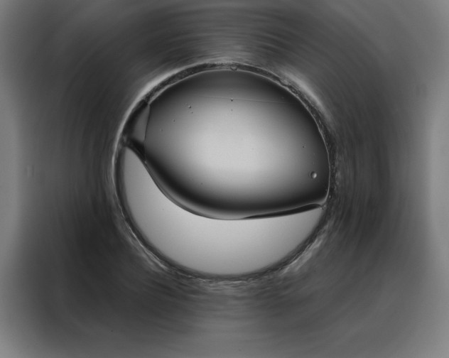 X0000088230932200705221821