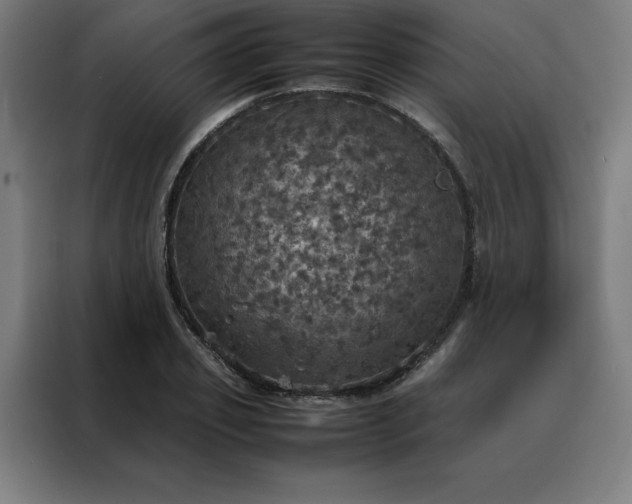 X0000088230933200705221821