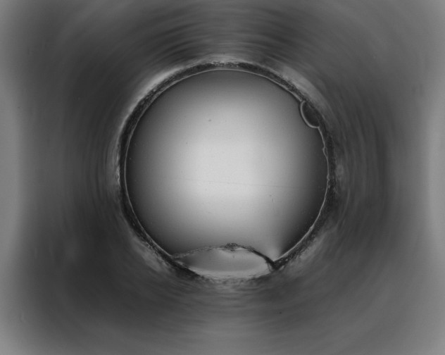 X0000088230934200705221821