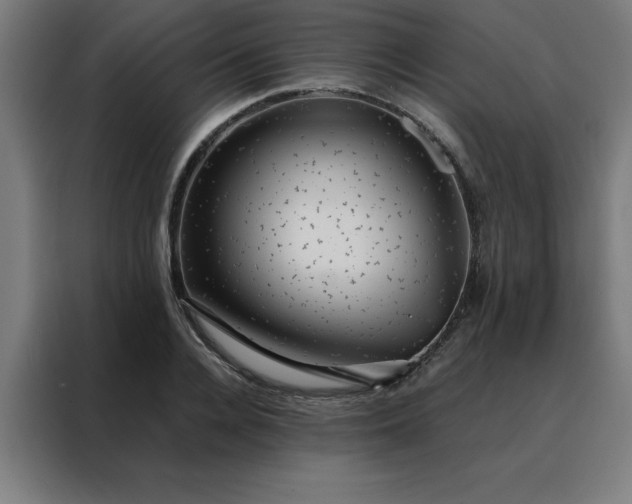 X0000088230936200705221821