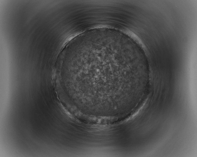 X0000088230937200705221821