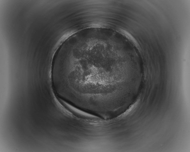 X0000088230938200705221821