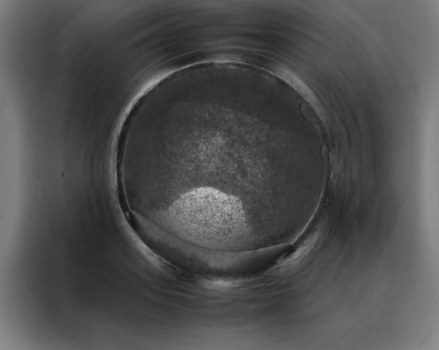 X0000088230939200705221821