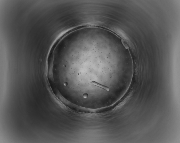 X0000088230940200705221821