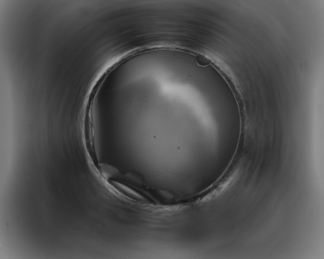 X0000088230941200705221821
