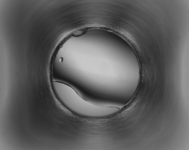 X0000088230942200705221821