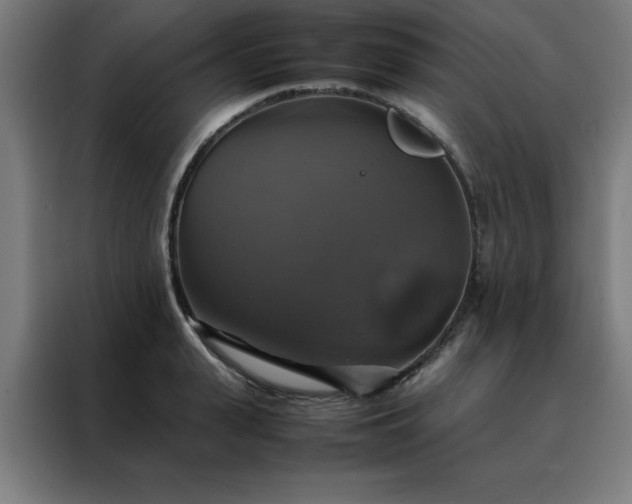 X0000088230943200705221821
