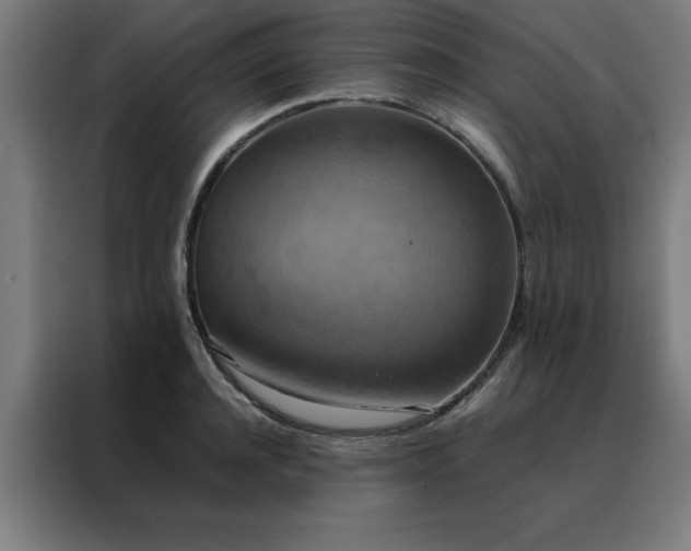 X0000088230944200705221821