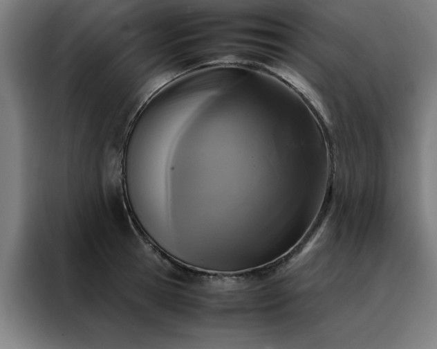 X0000088230945200705221821