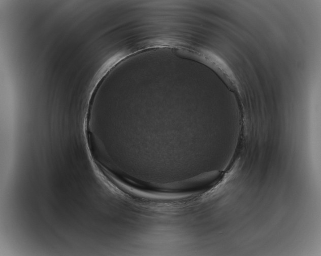 X0000088230946200705221821