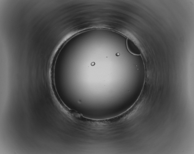 X0000088230947200705221821