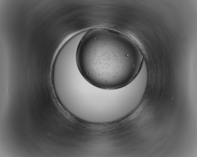 X0000088230948200705221822
