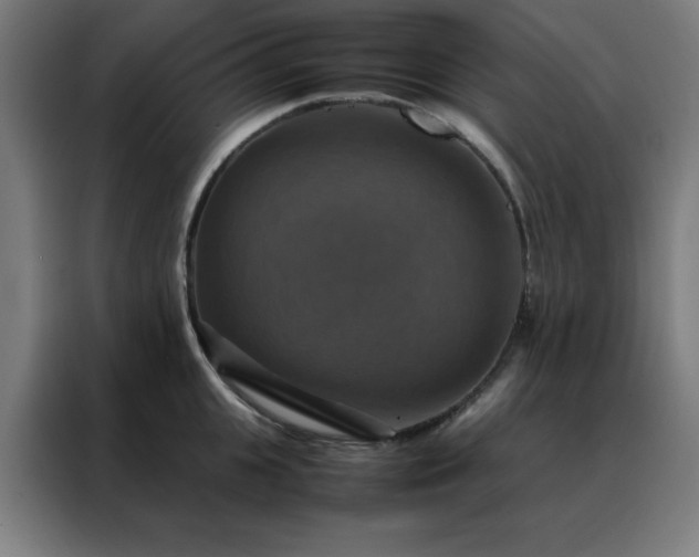 X0000088230951200705221822