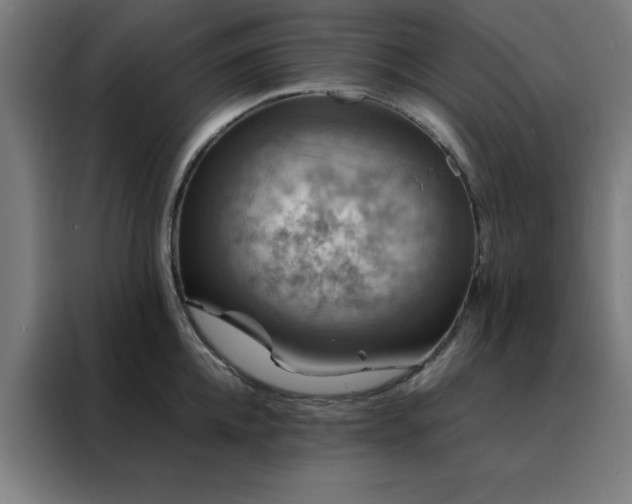 X0000088230952200705221822