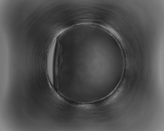 X0000088230953200705221822