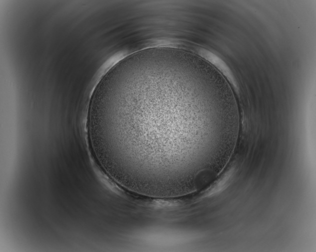 X0000088230954200705221822