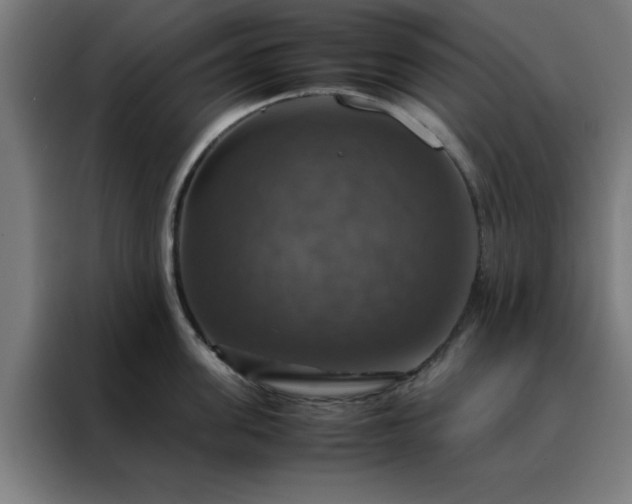 X0000088230955200705221822