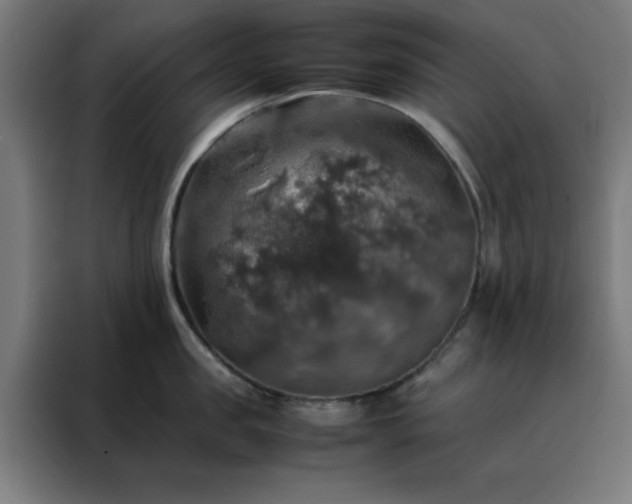 X0000088230957200705221822
