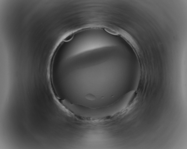 X0000088230958200705221822