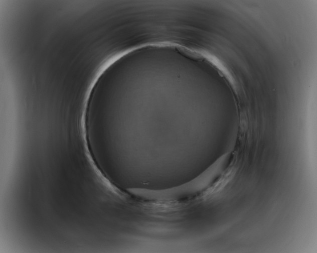 X0000088230959200705221822