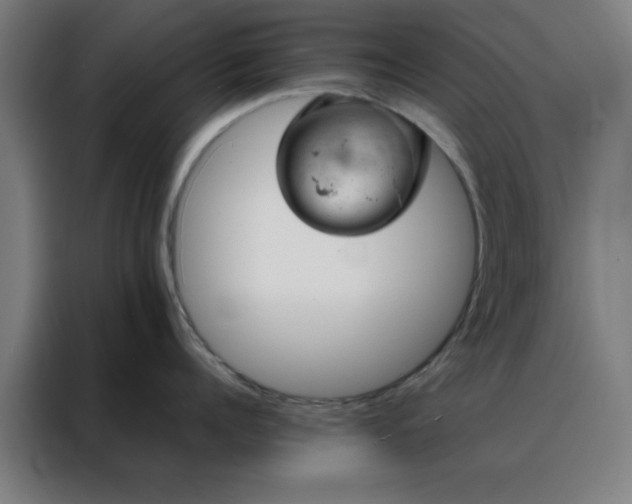 X0000088230960200705221822