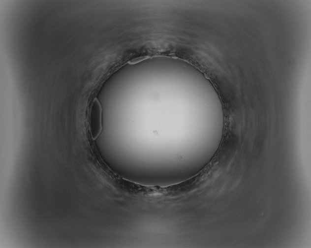 X0000088230961200705221821