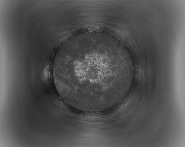 X0000088230962200705221821