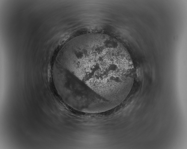 X0000088230963200705221821