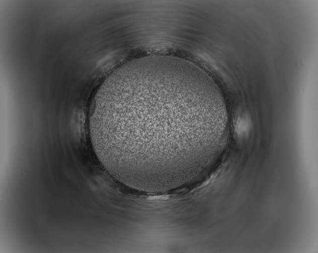 X0000088230964200705221821