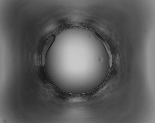X0000088230965200705221821