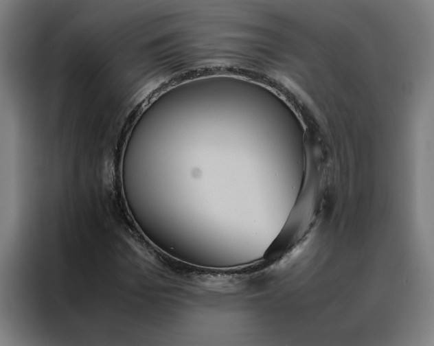 X0000088230969200705221821